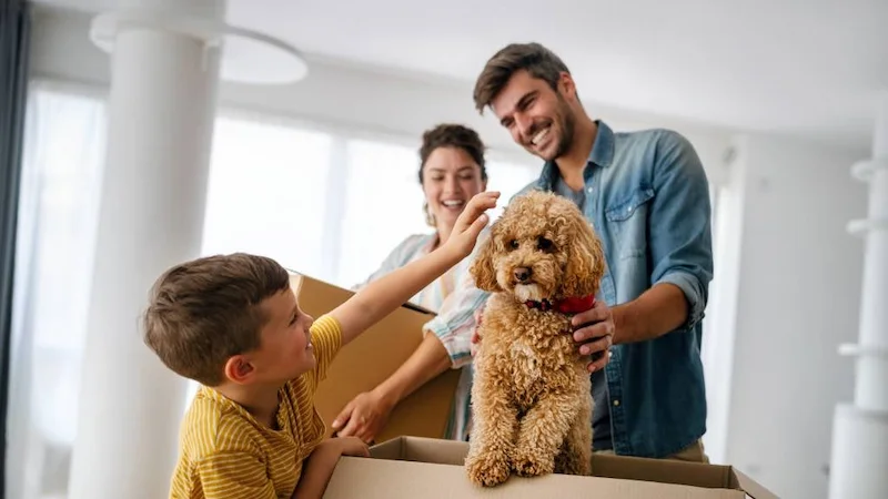 Pet Insurance Essentials: Coverage, Costs, and Resources Explained