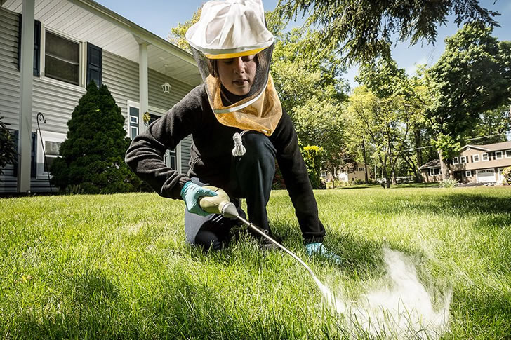 Effective Strategies for Managing Household Pests