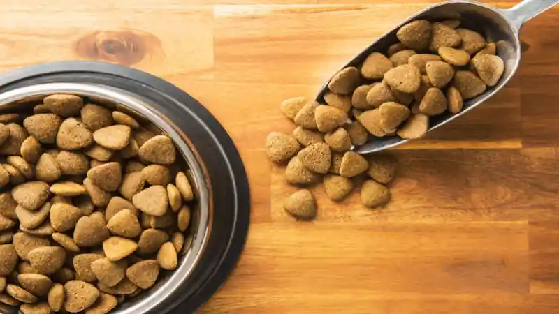 Premium Hypoallergenic Dog Food - Perfect for Pups with Allergies!